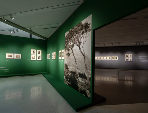 Decembarska javna vođenja i prateći programi u okviru četiri izložbe Muzeja savremene umetnosti u Beogradu