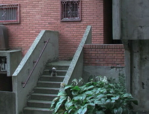 Američka premijera filma „Histerični napad smeha“ u januaru 2026. godine