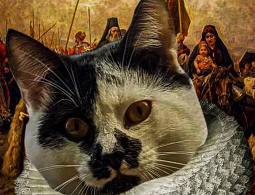 Izložba “NEOBIČNA KOLEKCIJA: Izbor dela iz kolekcije Ljudmile Stratimirović” u   Salonu Oto Bihalji-Merin