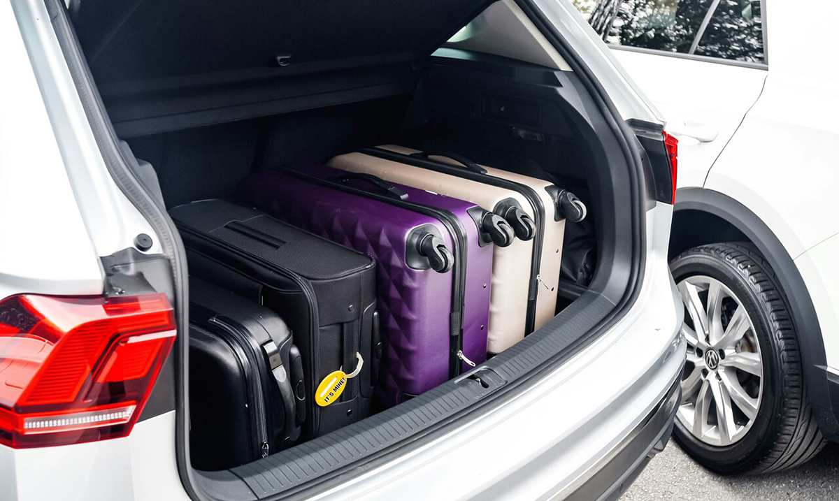 Povratak dijaspore tokom godišnjih odmora