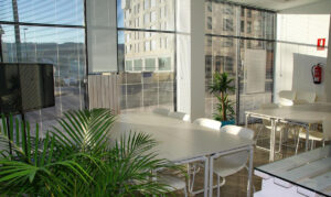 Koliko danas košta pokretanje biznisa u Srbiji?