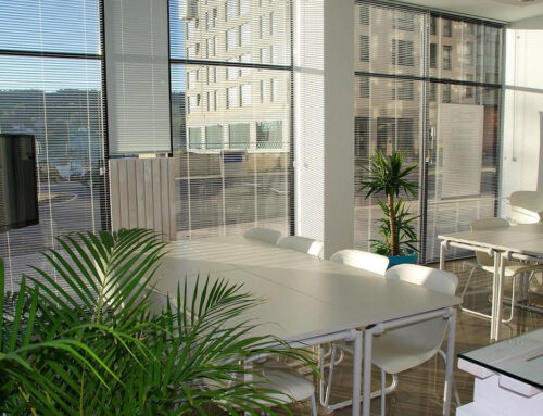 Koliko danas košta pokretanje biznisa u Srbiji?