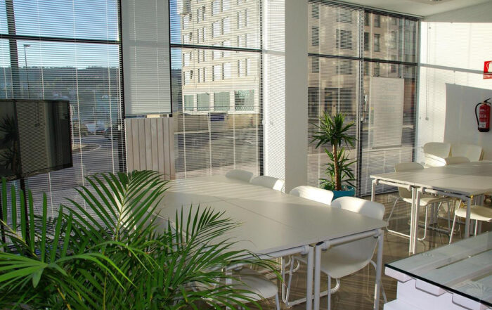 Koliko danas košta pokretanje biznisa u Srbiji?