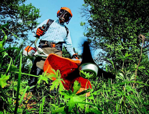 Kako izabrati alat za rad u dvorištu?