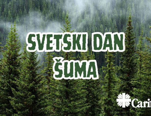 Šume – čuvari zdravlja, ali i bezbednosti