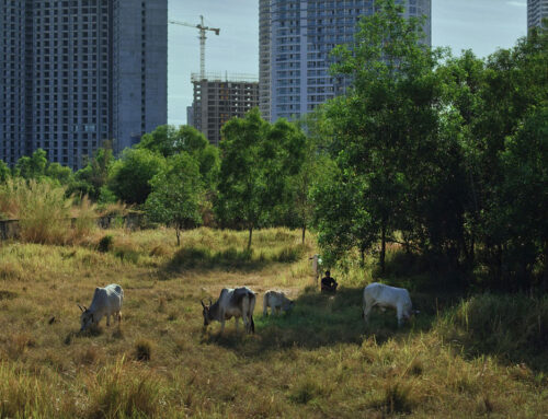 Veliki uspeh domaće kinematografije na svetskoj sceni: „Obećani prostori“ Ivana Markovića u ACID selekciji Kanskog festivala