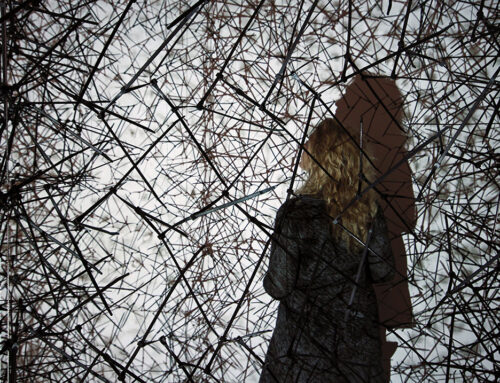 Vesna Perunović najavljuje izložbu u Galeriji DOTS – METOD U LUDILU (METHOD TO MADNESS) od 21. maja do 7.jula 2026